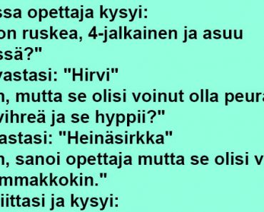 Mikä on ruskea 4-jalkainen ja asuu metsässä?