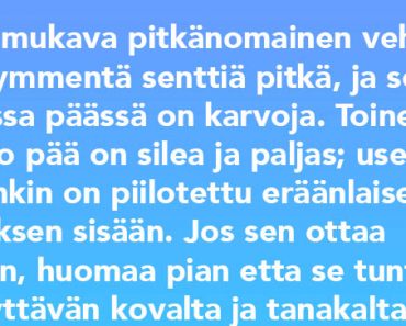 Osaatko arvata mikä tämä asia on?