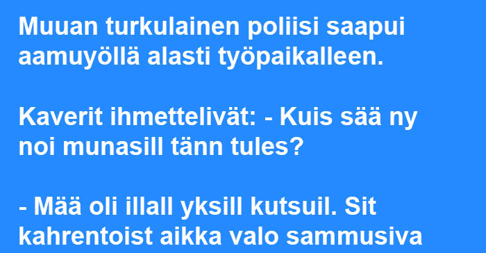 Turkulainen poliisi