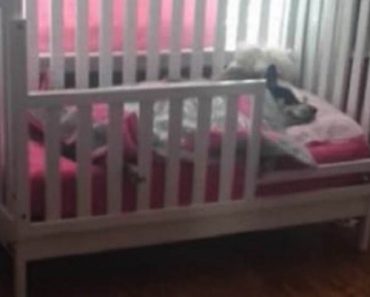 Koira ja lapsi nukkuvat vierekkäin samassa sängyssä – Katso suloinen video