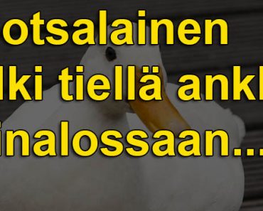 Ruotsalainen kulki tiellä ankka kainalossaan