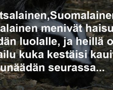 Haisunäätä