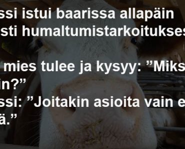 Maajussi istui baarissa