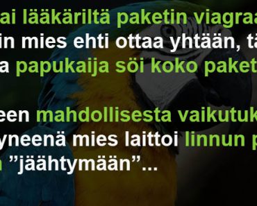 Papukaija pakastimessa