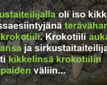 Sirkustaiteilija