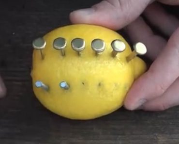 Mies laittaa sitruunaan nauloja – Seuraavaksi näette jotain uskomatonta