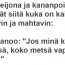 karhu-leijona-ja-kananpoika-k