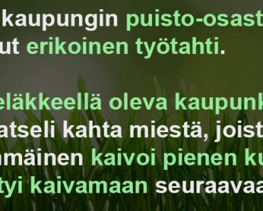 Porin kaupungin puisto-osastolla on ollut erikoinen työtahti