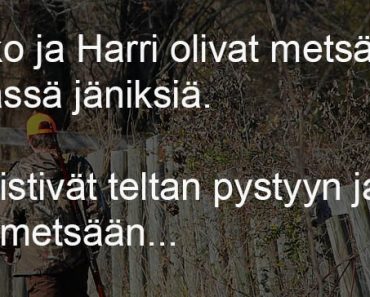 Jäniksiä metsästämässä