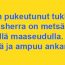 ankka-k