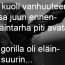 YT-neuvottelut eläintarhassa