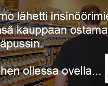 Insinöörin kauppareissu