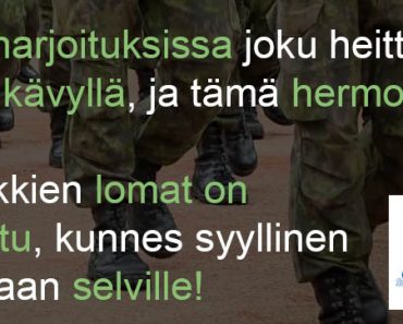 Joku heitti vääpeliä kävyllä