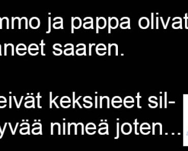 Mummo ja pappa ostivat saaren