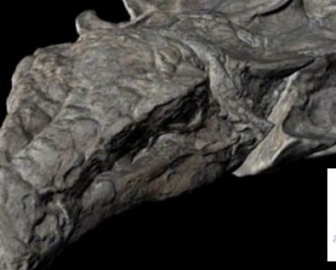 Tutkijat löysivät Kanadasta täydellisen dinosauruksen fossiilin – Katso kuvat ja video!