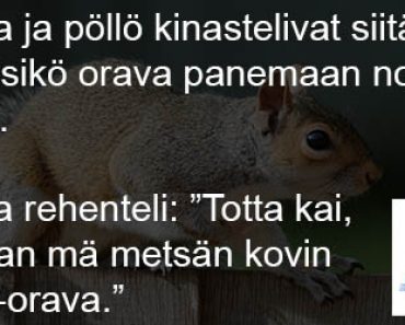 Orava ja pöllö kinasteli