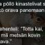 oraja-pollo-kinasteli-k