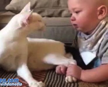 Vauva nappaa kiinni kissan takajalasta – Kissan reaktio on saanut miljoonat hämmästymään!