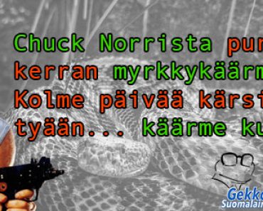 Netin hauskimmat Chuck Norris -vitsit – Lue ja naura!