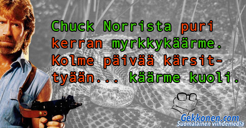 Netin hauskimmat Chuck Norris -vitsit – Lue ja naura!