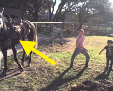 Pikkutytöt tanssivat hevostilalla – Katso mitä yksi hevosista tekee