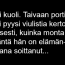 viulisti-k