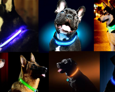 Joko sinun koirallesi on hankittu LED-kaulapanta? – Tämä saattaa pelastaa koirasi hengen!