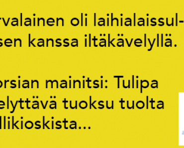 Grillikioskin tuoksu