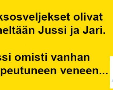 Kaksosveljekset Jussi ja Jari