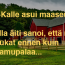 kalleasuimaaseudulla2