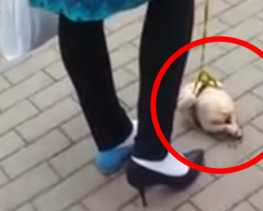 Venäjällä on kuvattu hämmentävä video: Nainen ulkoilutti pakastebroileria hihnassa!