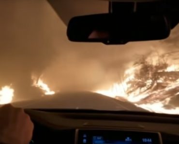 Pariskunta pakenee Kalifornian maastopaloja, video näyttää maanpäälliseltä helvetiltä – KATSO!