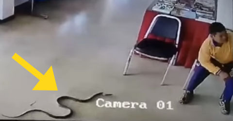 vaimo Gangbang porno kuvia