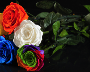 Oletko jo kuullut aidoista ruusuista jotka eivät kuole? – Mahtava lahja esim. ystävänpäivänä!