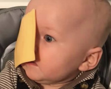 Outo somehaaste leviää verkossa – juustoviipaleita vauvojen kasvoille